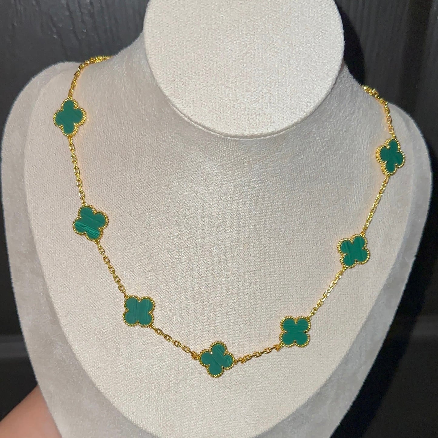 Cary VC | Collar