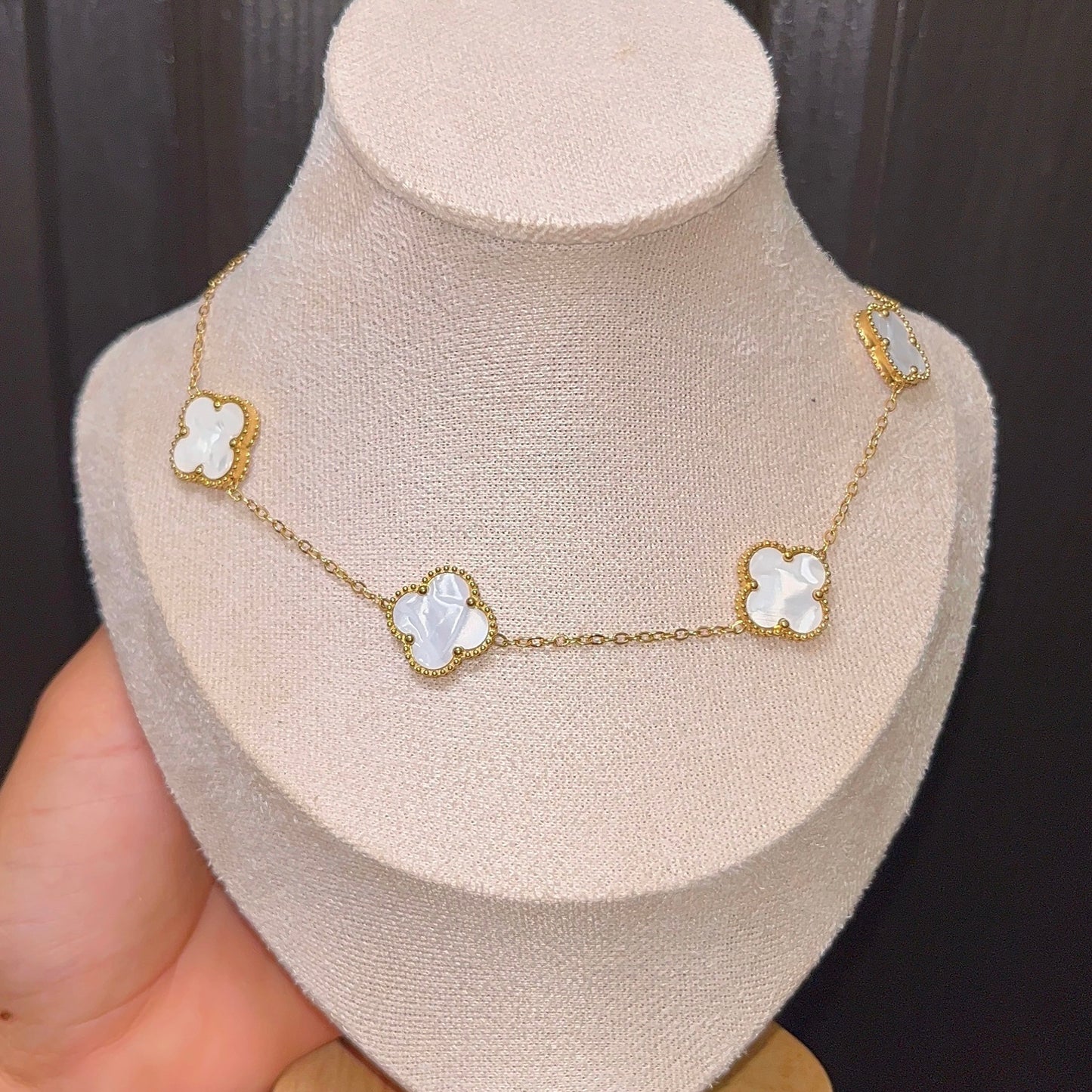 Cary VC | Collar